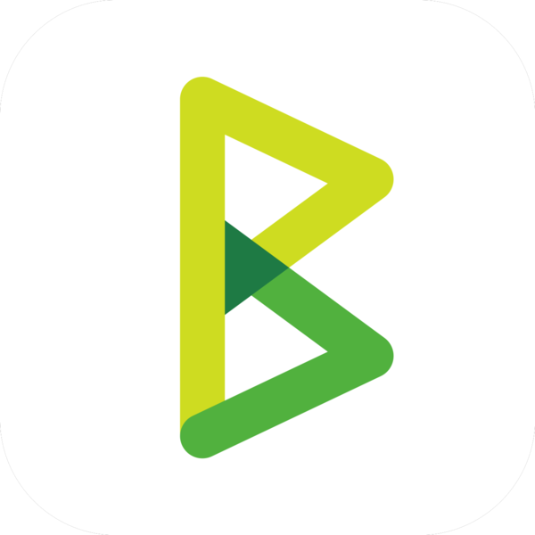 Btcpayserver logo